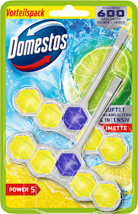WC-Stein Limette  Domestos