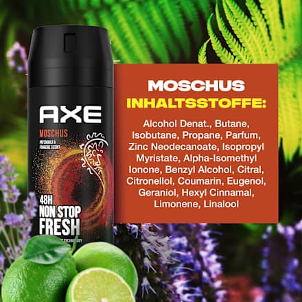 Bodyspray Moschus Patchouli & Fougere Scent AXE
