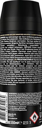 Bodyspray Moschus Patchouli & Fougere Scent AXE