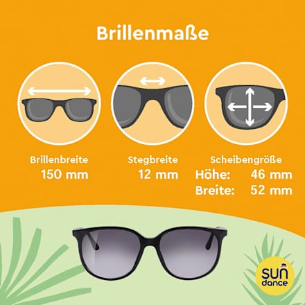 Sonnenbrille Erwachsene schwarz mit getönten Gläsern SUNDANCE