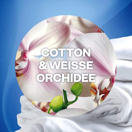 Lufterfrischer Duftstecker Cotton & Weiße Orchidee Nachfüllpack (2x19 ml) AirWick