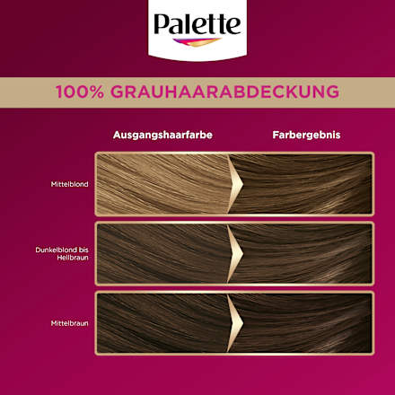 Haarfarbe 6-0/600 Hellbraun Palette Intensive Color Creme