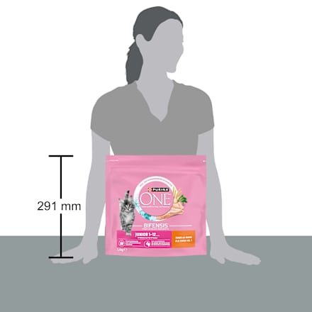 Trockenfutter Katze Kitten mit Huhn, Junior                                               PURINA ONE