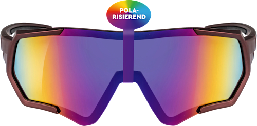 Sport-Sonnenbrille Erwachsene SUNDANCE