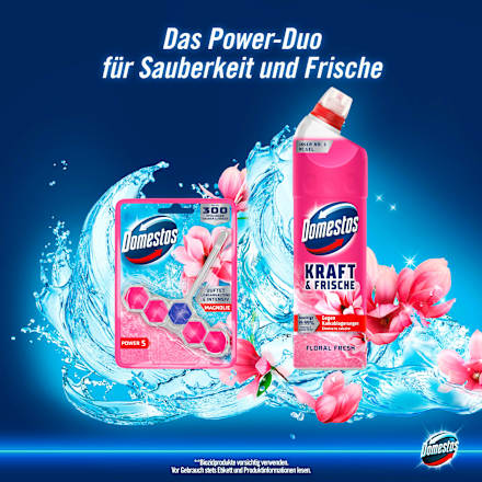 WC-Reiniger Gel Kraft & Frische Floral Fresh  Domestos