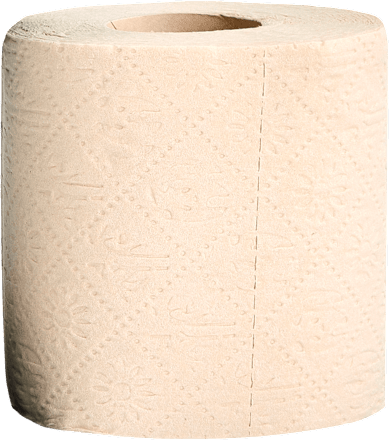 Bamboo toaletni papir ECO BOOM