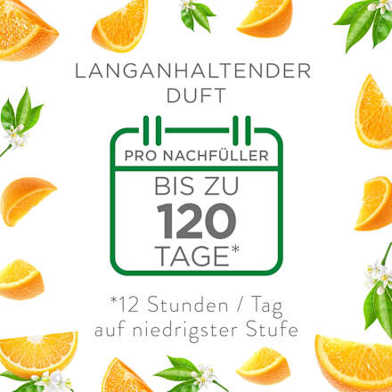 Duftöl Nachfüller Citrus AIR WICK