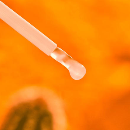 Lipgloss mit Schlüsselanhänger Yee Haw! 01 Boots On, Carry On! Boots, Hat, Go! essence