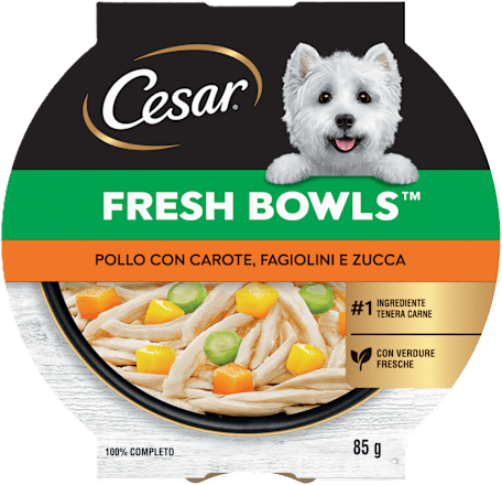 Cibo umido per cani FRESH BOWLS con pollo, carote, fagiolini e zucca Cesar