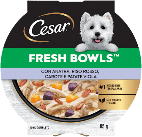 Cibo umido per cani FRESH BOWLS con anatra, riso rosso, carote e patate viola Cesar