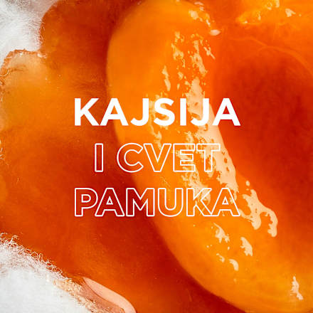 KIDS 2u1 kajsija dečiji šampon i balzam za kosu - Disney THE LION KING GARNIER BOTANIC THERAPY