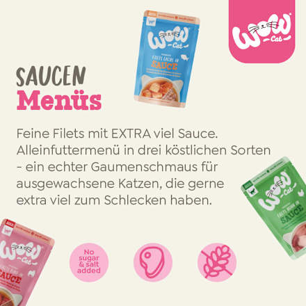 Nassfutter Katze mit Rind, Huhn & Lachs, Filets in Sauce Multipack (6x85 g) WOW