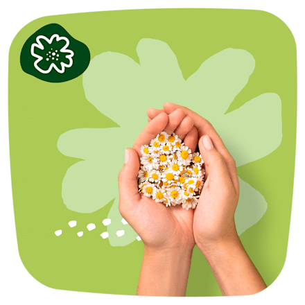 Egészségügyi betét, Ultra Maxi Camomile Naturella