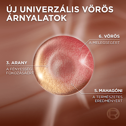 Tartós hajfesték, univerzális sötétvörös 4UR L'ORÉAL PARiS EXCELLENCE Creme