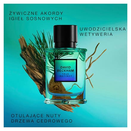 Instinct Flanker Woda perfumowana męska  DAVID BECKHAM