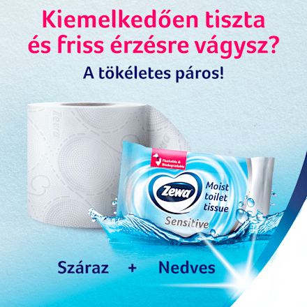 Nedves toalettpapír Aloe Vera ZEWA