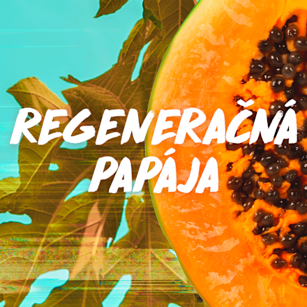 Obnovujúca maska na poškodené vlasy Papaya Hair Food GARNIER FRUCTIS