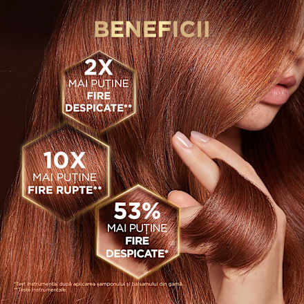 Şampon reparator cu miere GARNIER BOTANIC THERAPY
