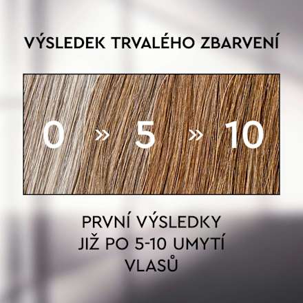 šampon na vlasy s Anti-Grey efektem Plantur 39