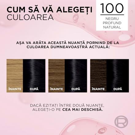 Vopsea de păr permanentă cu amoniac 1 L'ORÉAL PARiS EXCELLENCE Creme