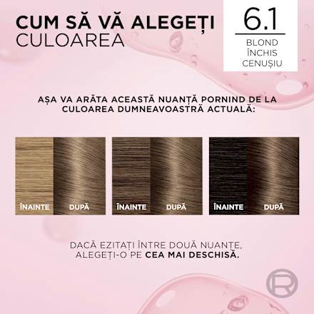 Vopsea de păr permanentă cu amoniac 6.1 L'ORÉAL PARiS EXCELLENCE Creme