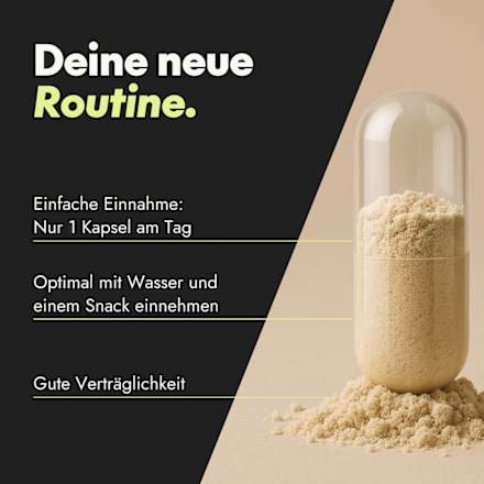 Active Brain Performance 60 Stück  serotalin