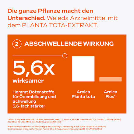 Arnika-Salbe 10% WELEDA