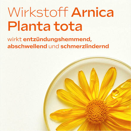 Arnika-Salbe 10% WELEDA