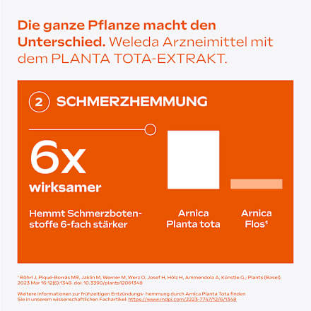 Arnika-Salbe 10% WELEDA