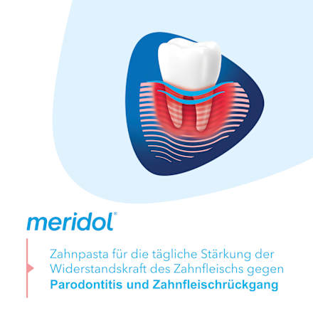 Zahnpasta Parodont Expert meridol