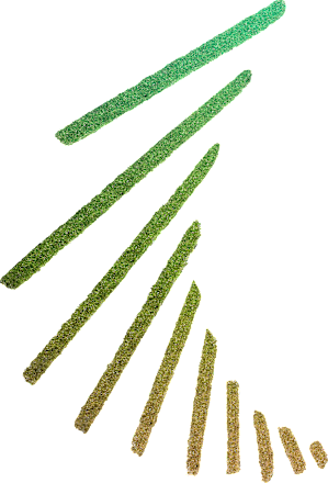 Eyeliner Beetlejuice Pinstripe Duo 01 Green Chrome NYX PROFESSIONAL MAKEUP