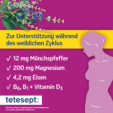 FemiComplex Mönchspfeffer Tabletten 60 St tetesept