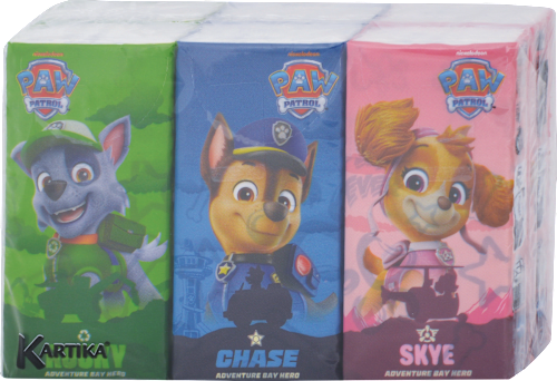 Detské hygienické vreckovky 6x9 PAW PATROL