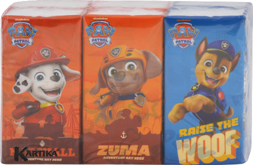 Detské hygienické vreckovky 6x9 PAW PATROL