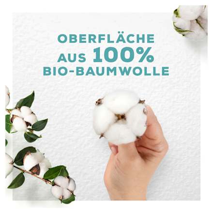 Ultra-Binden Cotton Protection Night Big Pack always