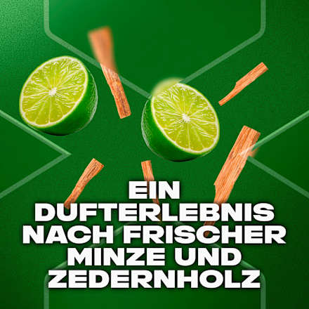 Deospray Mojito Cedarwood AXE