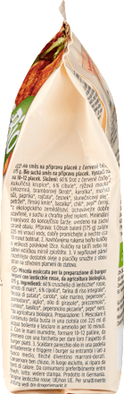Vegetarisches Hack Rote Linsen Bratlinge dmBio