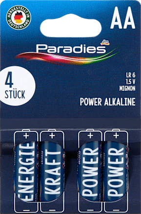 Batterie alcaline AA Power Paradies