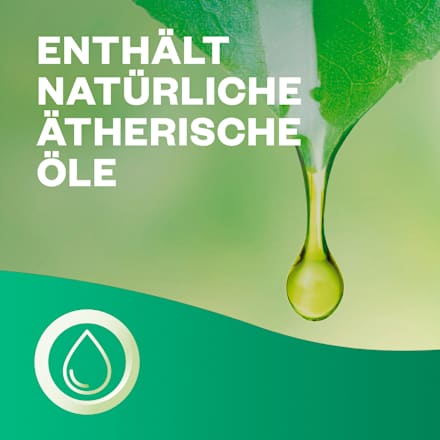Duftspray 24/7 Active Fresh Nachfüller Meeresbrise AirWick
