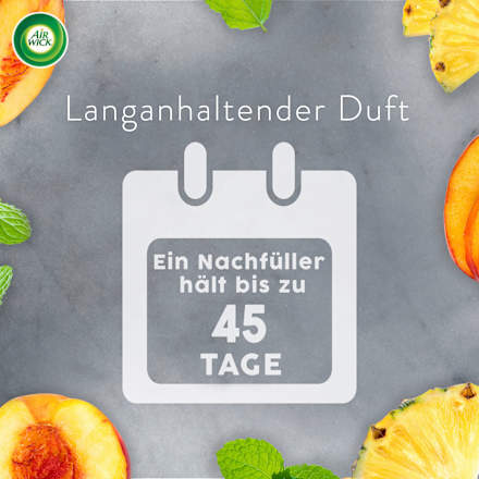 Aroma-Öl Flakon Nachfüller Lebensfreude AirWick