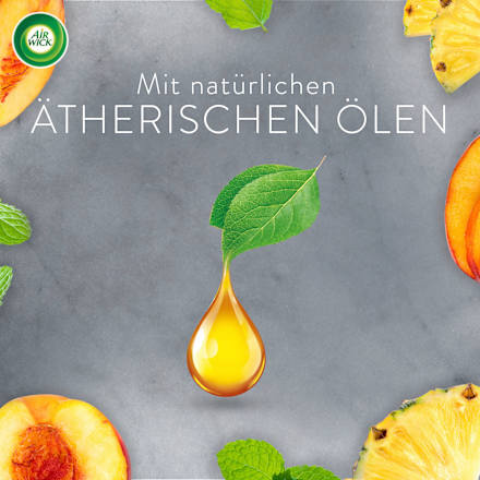 Aroma-Öl Flakon Nachfüller Lebensfreude AirWick