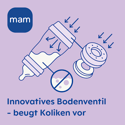 Babyflasche Easy Start Anti-Colic, lila, von Geburt an, 160 ml mam