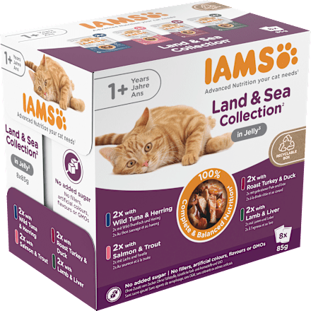 Nassfutter Katze Land & Sea Collection in Gelee, Multipack (8x85 g) IAMS