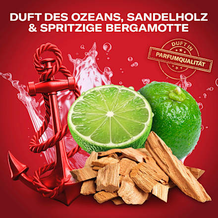 Deostick Captain Old Spice