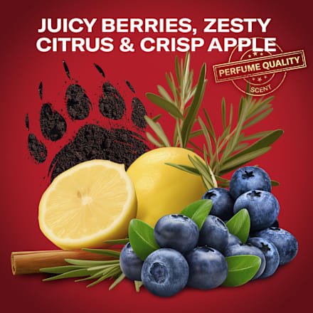 deodorant sprej Super Mario/Bearglove Old Spice