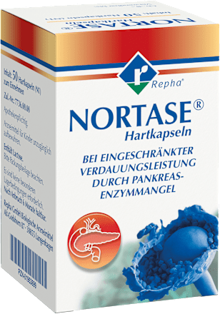 Nortase Hartkapseln NORTASE