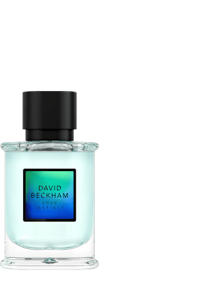 Instinct Flanker Woda perfumowana męska  DAVID BECKHAM