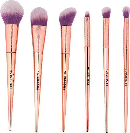 Set cadou 6 pensule și 2 bureți de machiaj PROFUSION COSMETICS