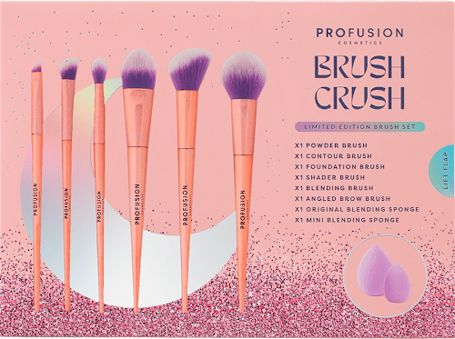 Set cadou 6 pensule și 2 bureți de machiaj PROFUSION COSMETICS
