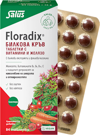 Таблетки билкова кръв с витамини и желязо Floradix
